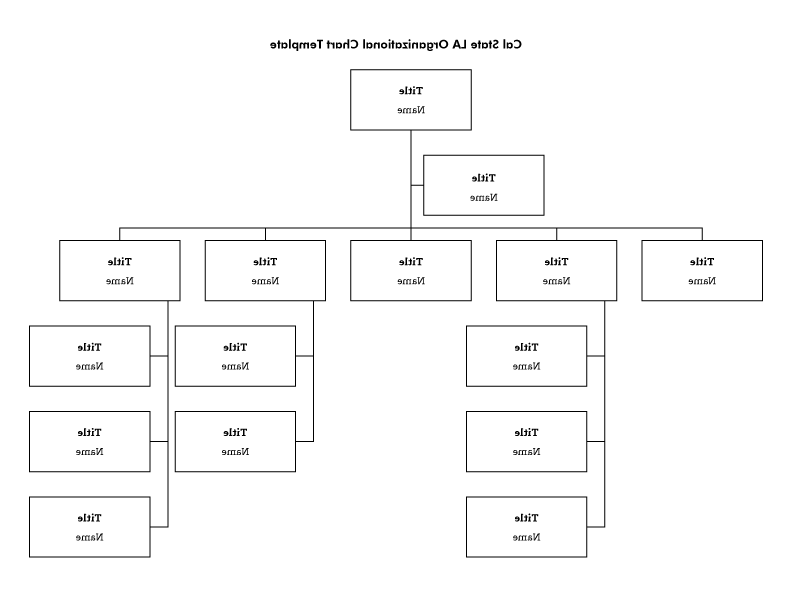 组织结构图模板