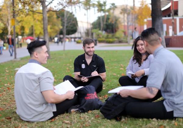 4个学生坐在草地上分享笔记 